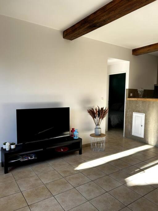 Superbe Appartement Dans Un Mas Nîmes Dış mekan fotoğraf